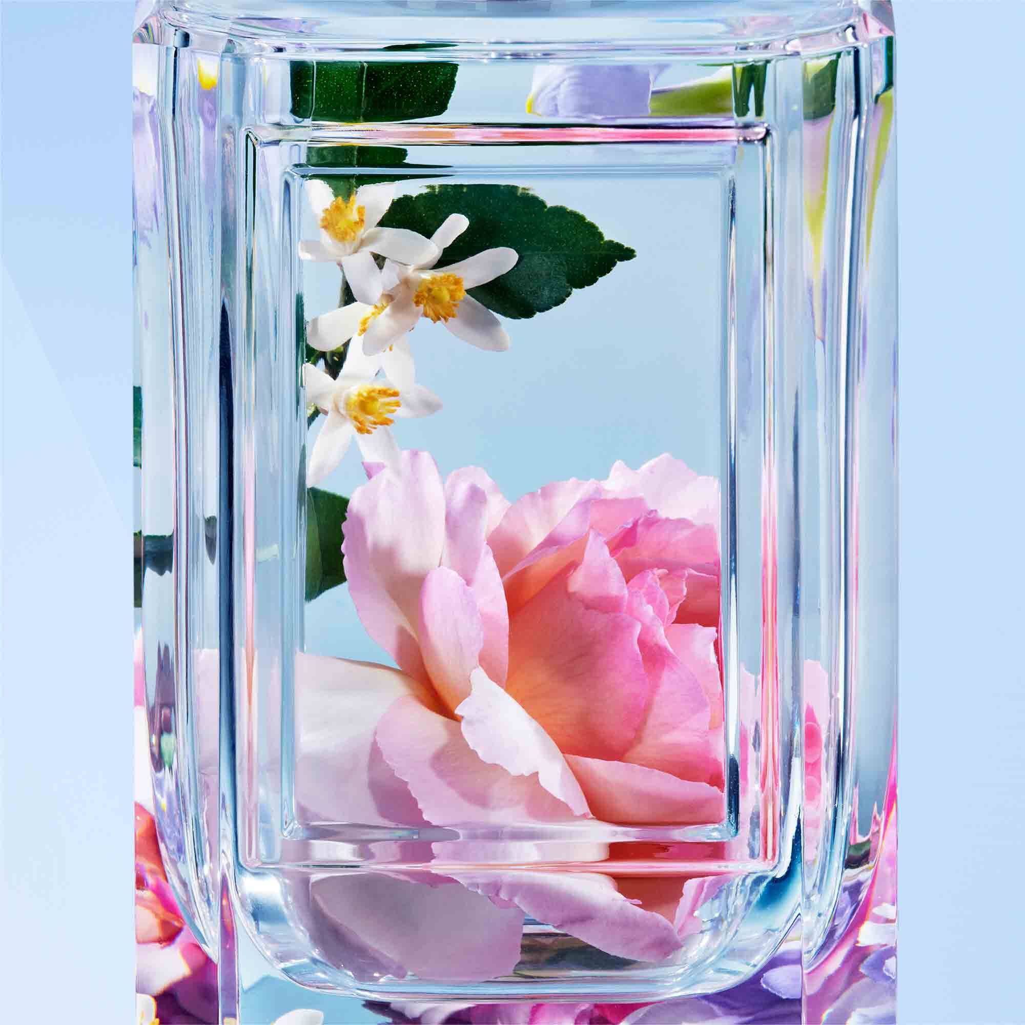 嗅覺珍藏系列-粉紅綺想 100ML