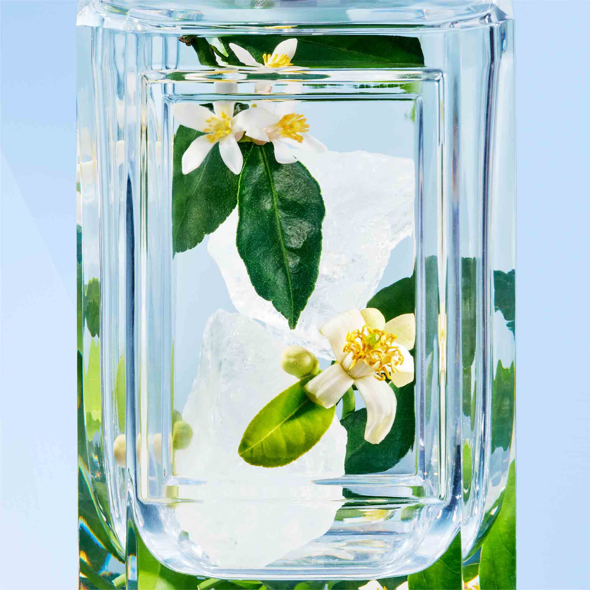 嗅覺珍藏系列-柔雲頌歌 100ML