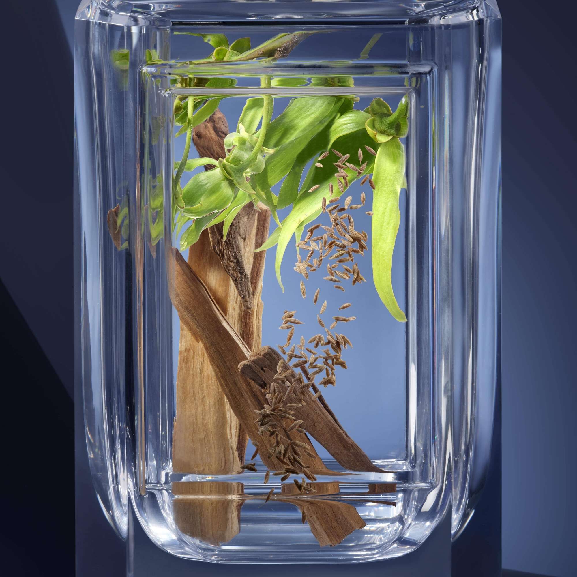 嗅覺珍藏系列-焰午光芒 100ML