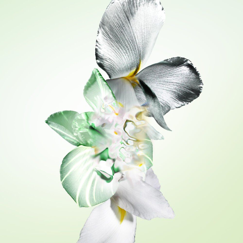 水印私藏系列-浮夢鳶尾香氛蠟燭