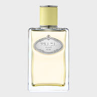 PRADA 水印私藏系列-沁檸生薑