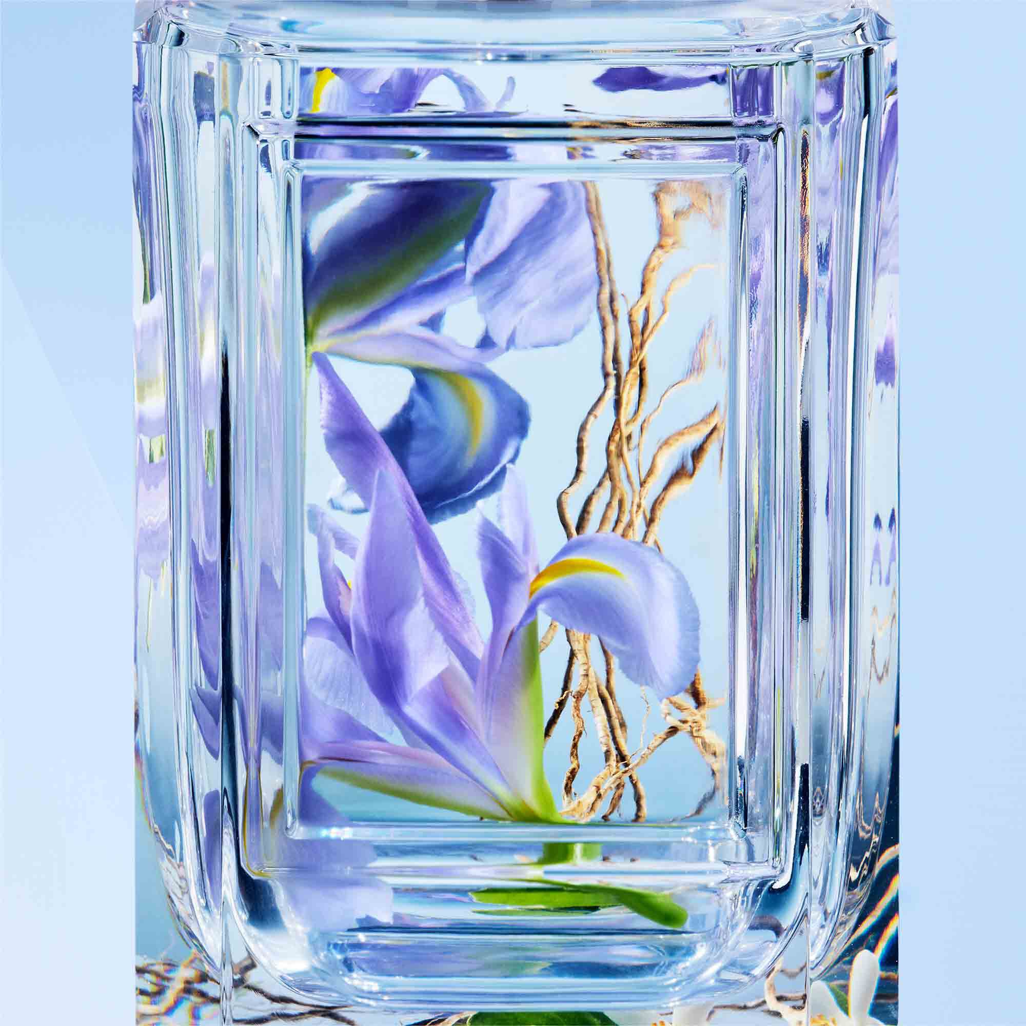 嗅覺珍藏系列-紫雨鳶尾 100ML