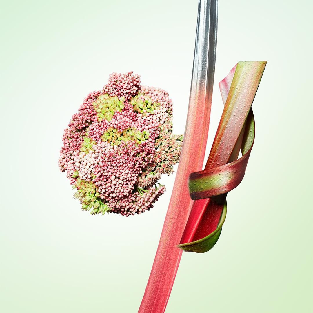 水印私藏系列-顛甜沁果